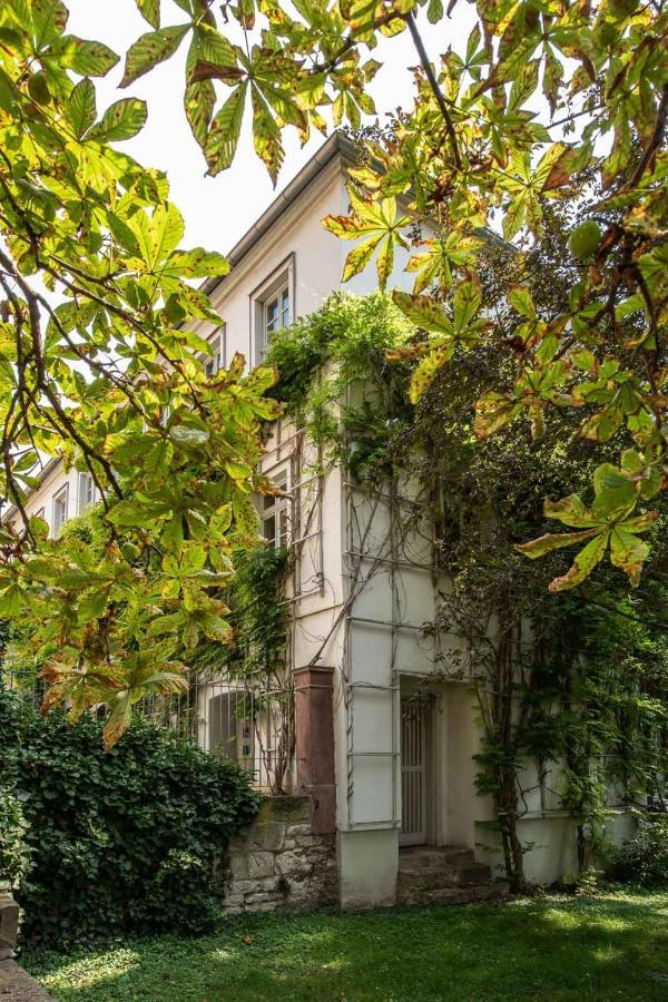 Ferienwohnung Am Dom II 나움부르크 외부 사진